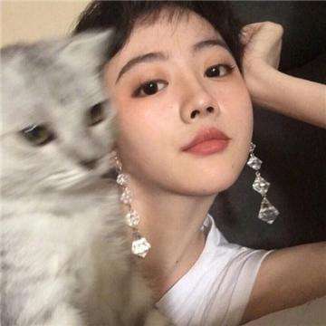 口袋决斗官方版下载